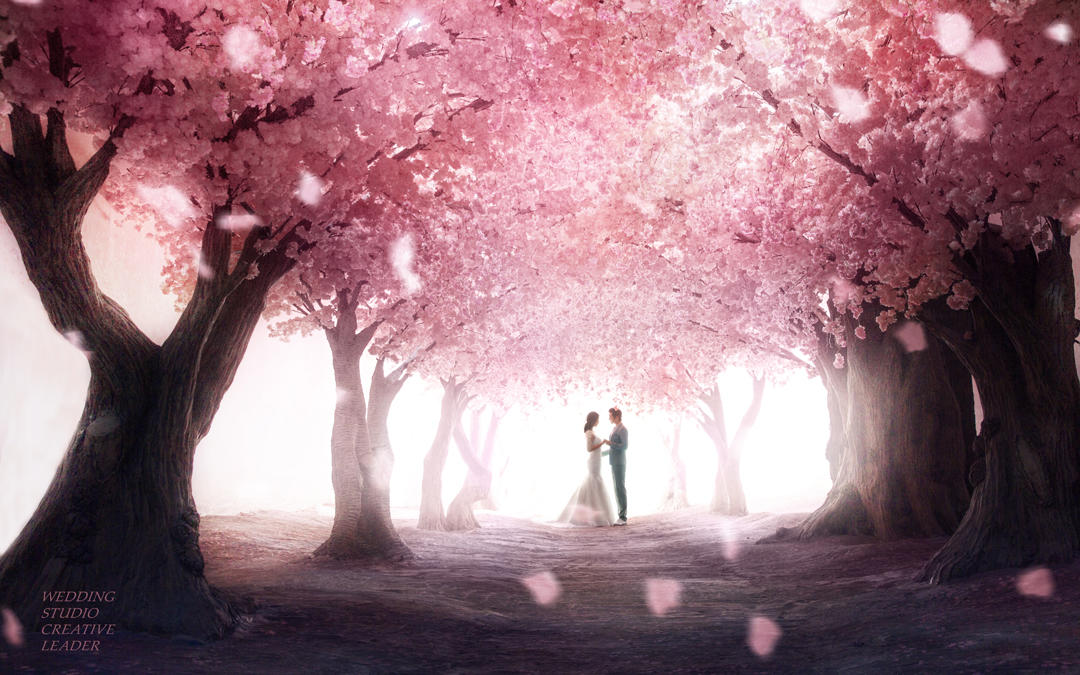 【花瓣雨】3999元写真套系 特惠2099元