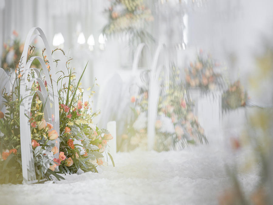 和韵 · 初心  白色、橘色 清新室内婚礼