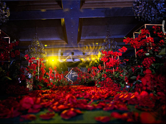 红黑系- 花园里的你（包含四大）