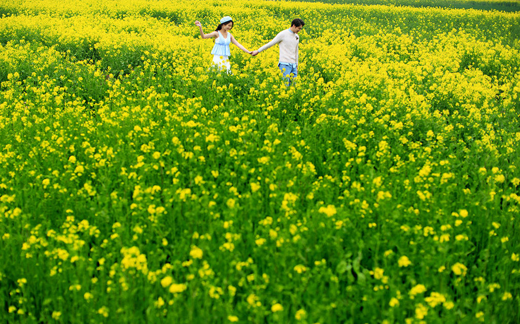 全包夜景+門票+中餐+胸貼+ 車費+全新婚紗