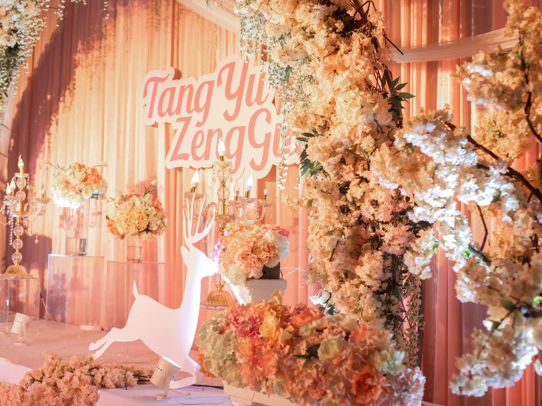 【旋木婚礼】  携  手