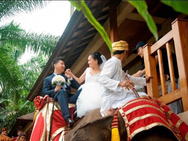 巴厘岛大象公园大象婚礼