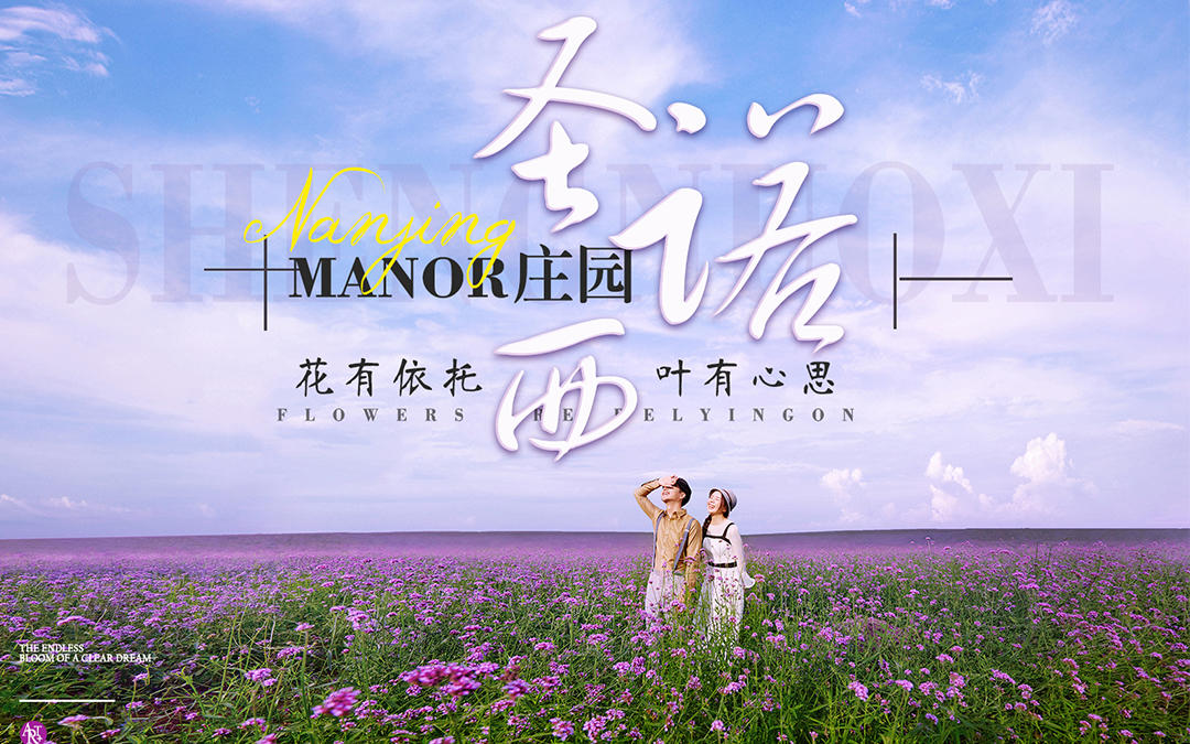 【今生摄影】圣诺西庄园 邂逅200亩花海