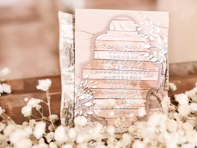 意芙婚礼—蒲公英的约定韩式淡色婚礼系 