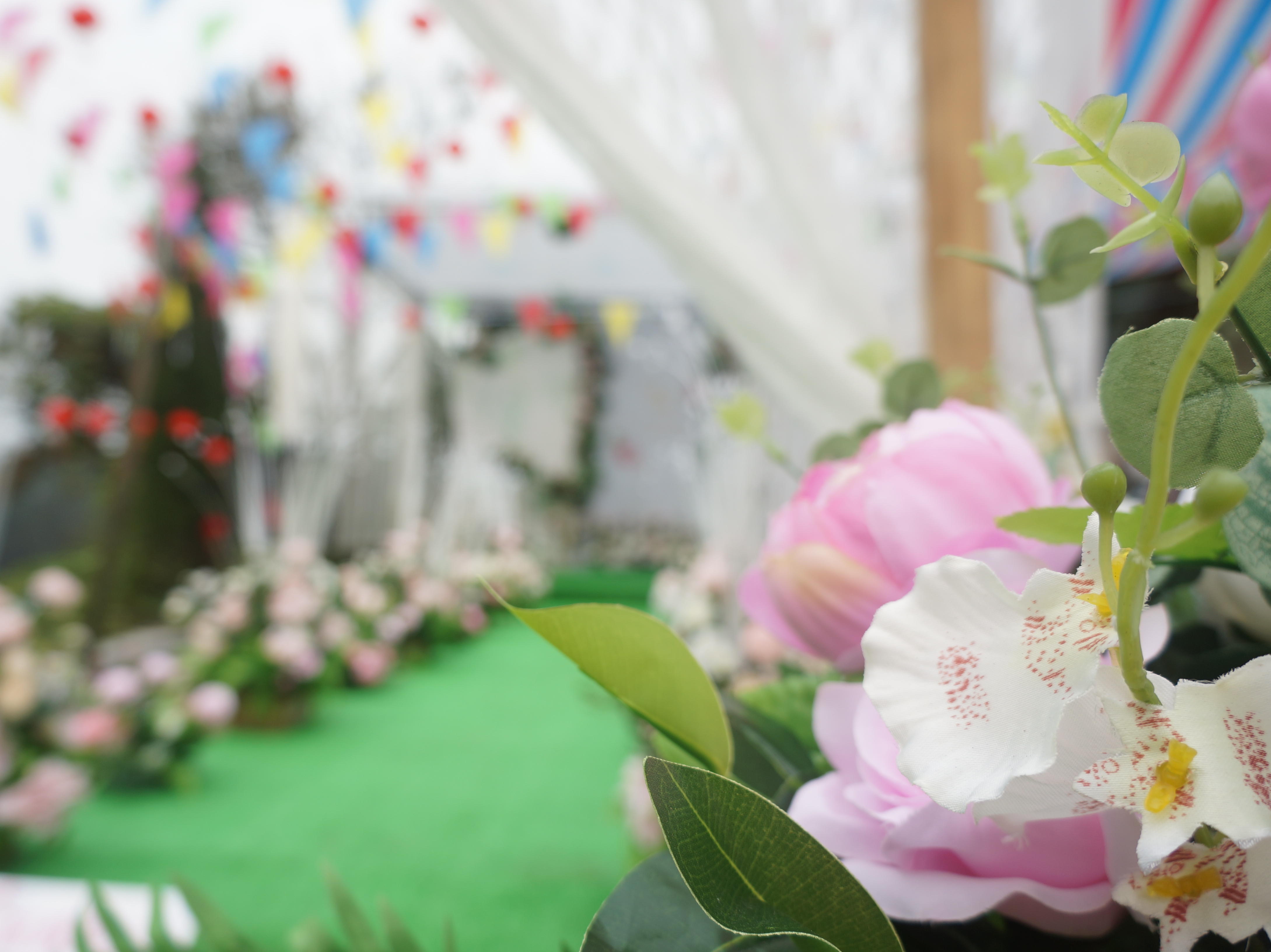 中保   義公村  滿滿的清新 帶著溫暖