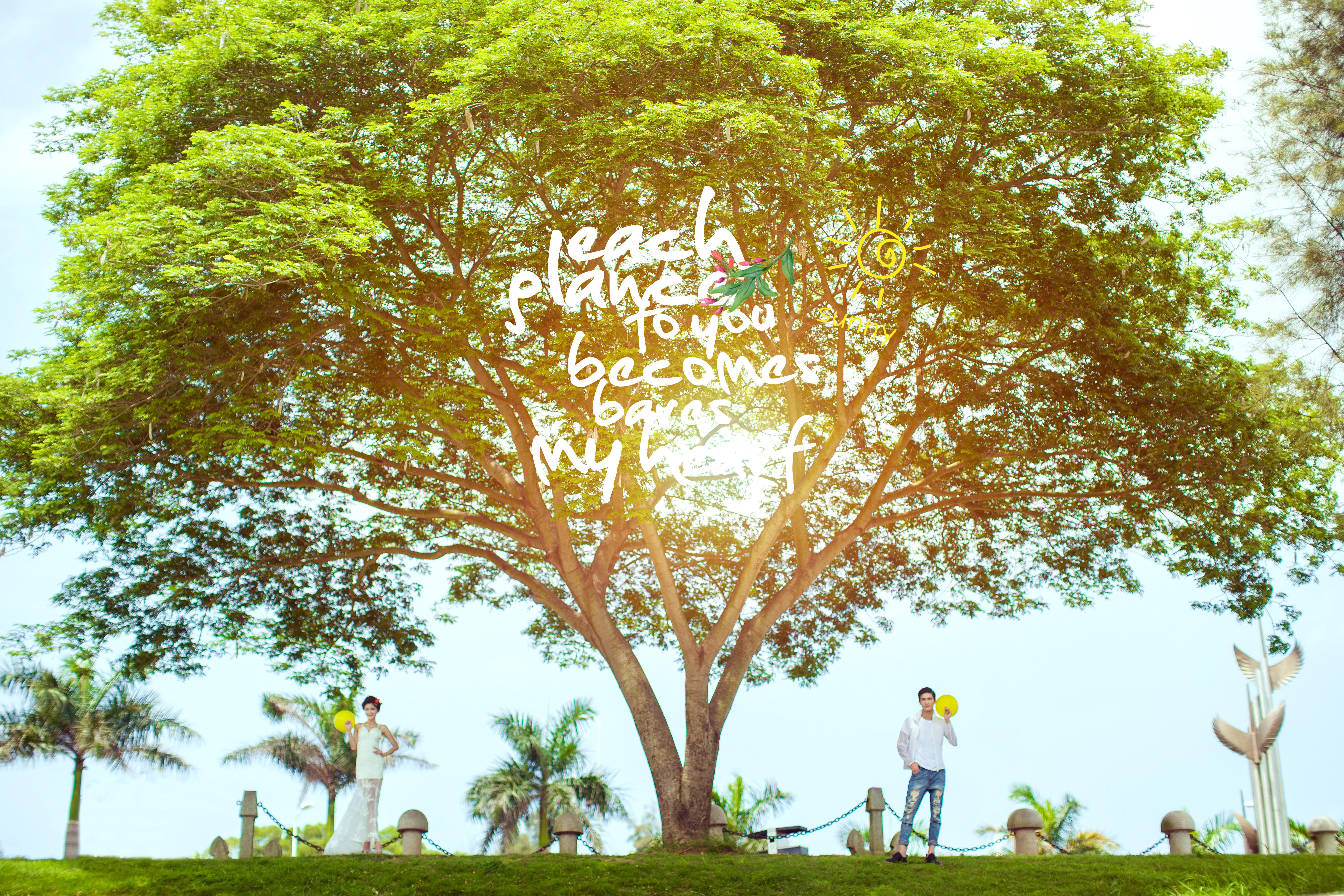 【影享世界】27°恒温水下拍摄，天气再冷也能拍