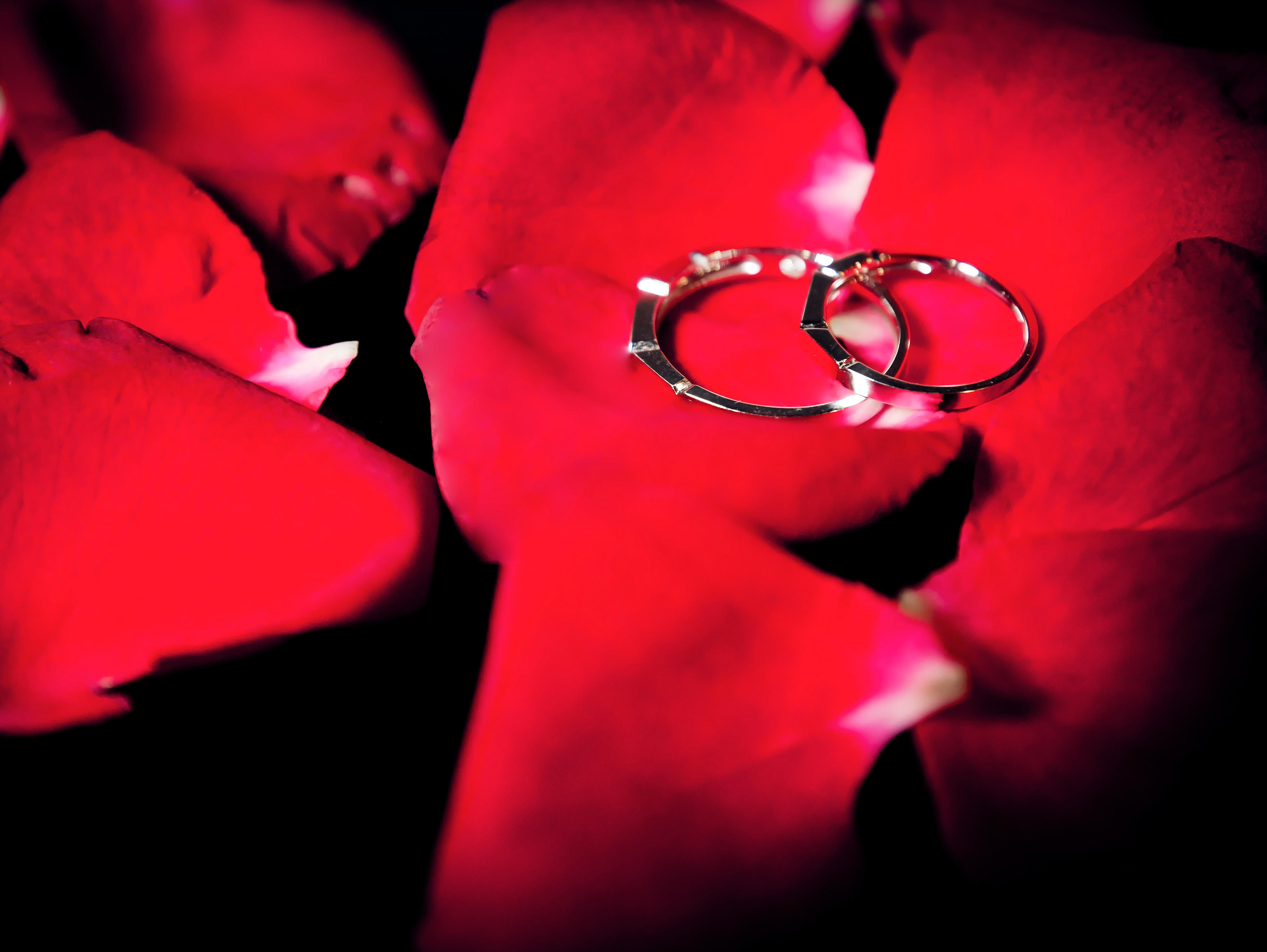 冬华婚礼跟拍(单机位）