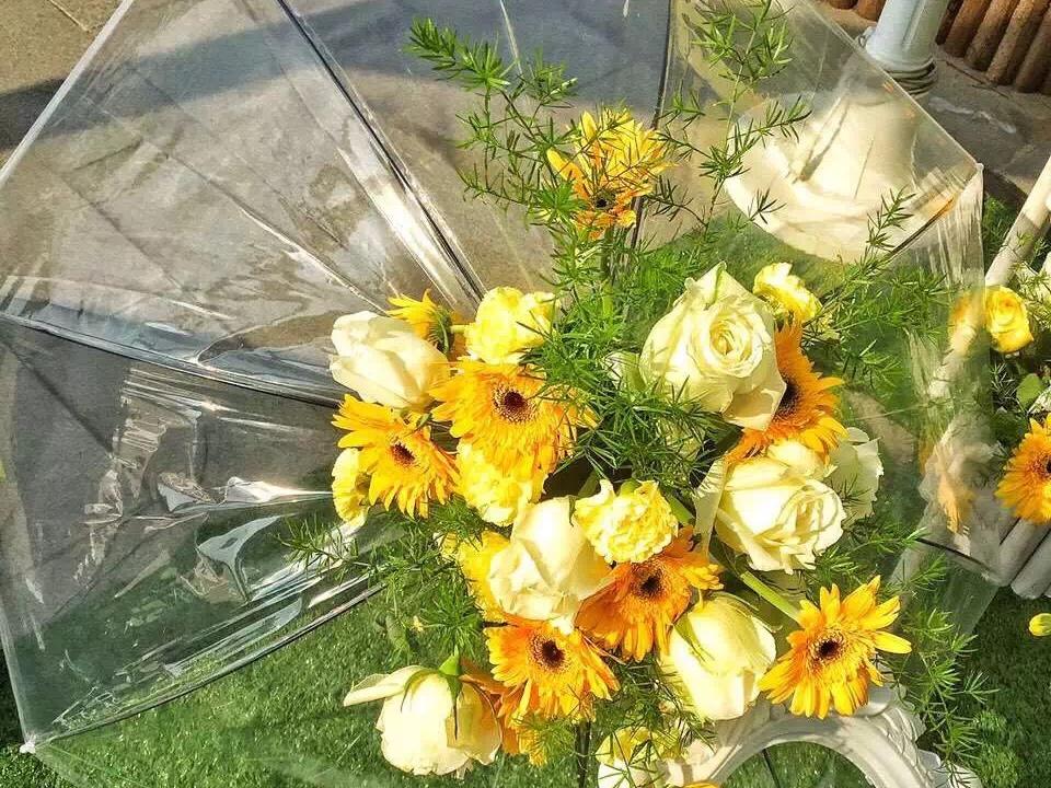 艾依诺｜ 绿野仙踪｜户外婚礼套系