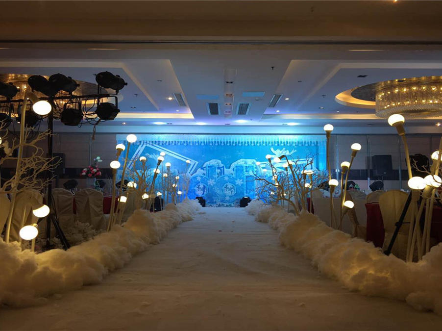 兮心爱梦冰雪主题婚礼一站式套餐