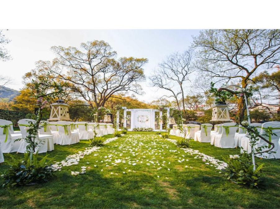 【八月婚礼定制】夏日清新草坪婚礼