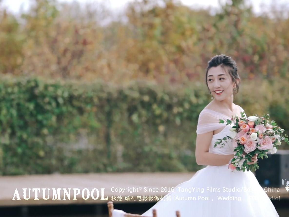 总监级双机婚礼电影   