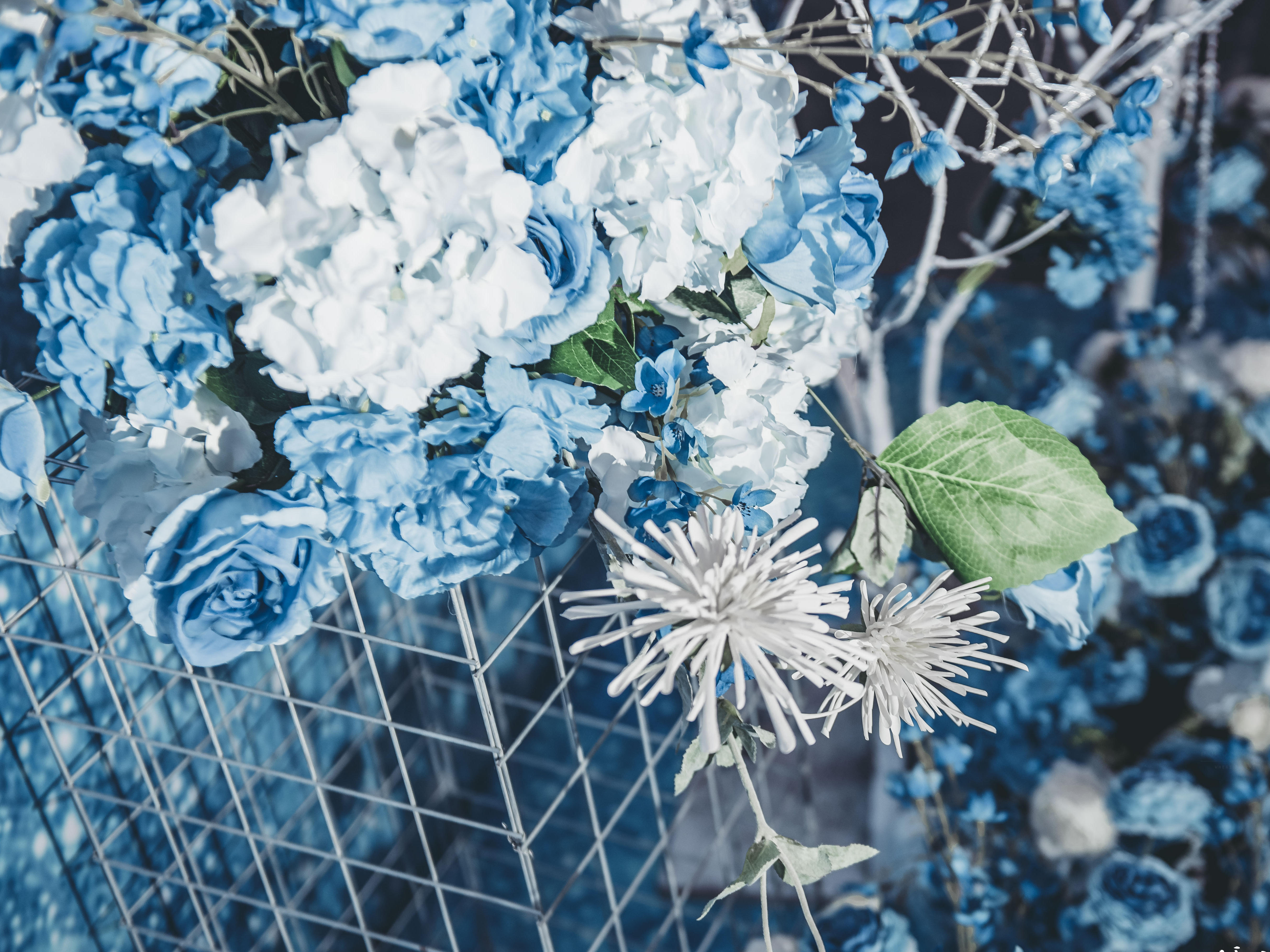 【星辰】爱你的心，就是浩瀚星辰