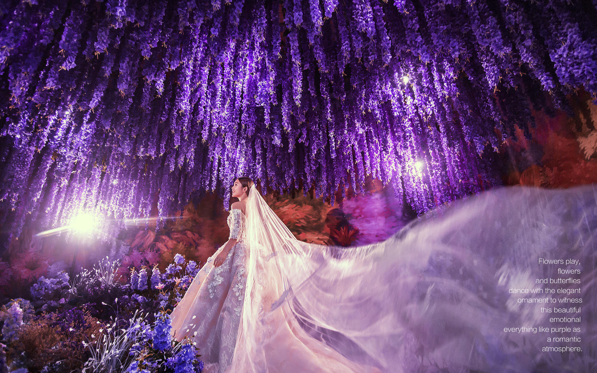 2019全新《Wisteria flower》