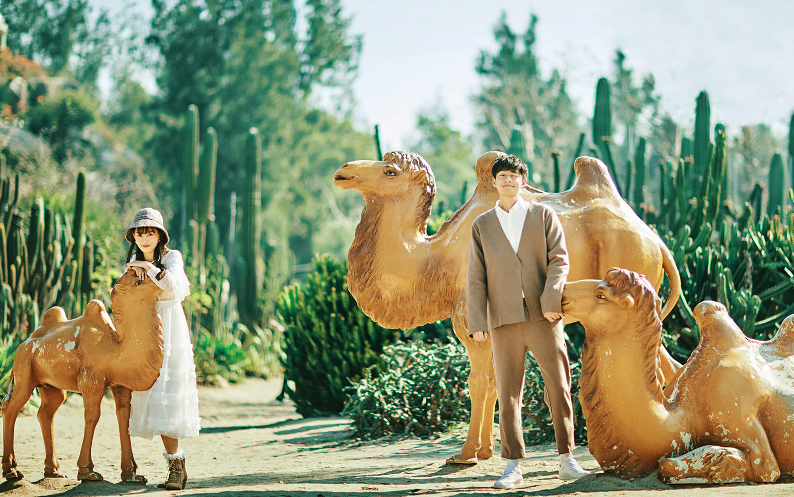 电影级画质 旅拍套系 | 专业团队超高性价比