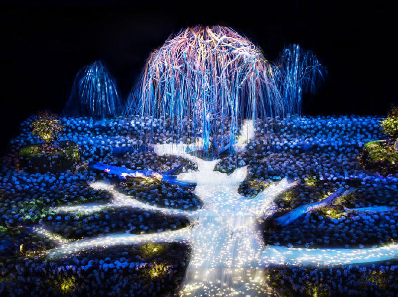 【MOMA魔马·舞台剧婚礼】自然之光 新概念婚礼