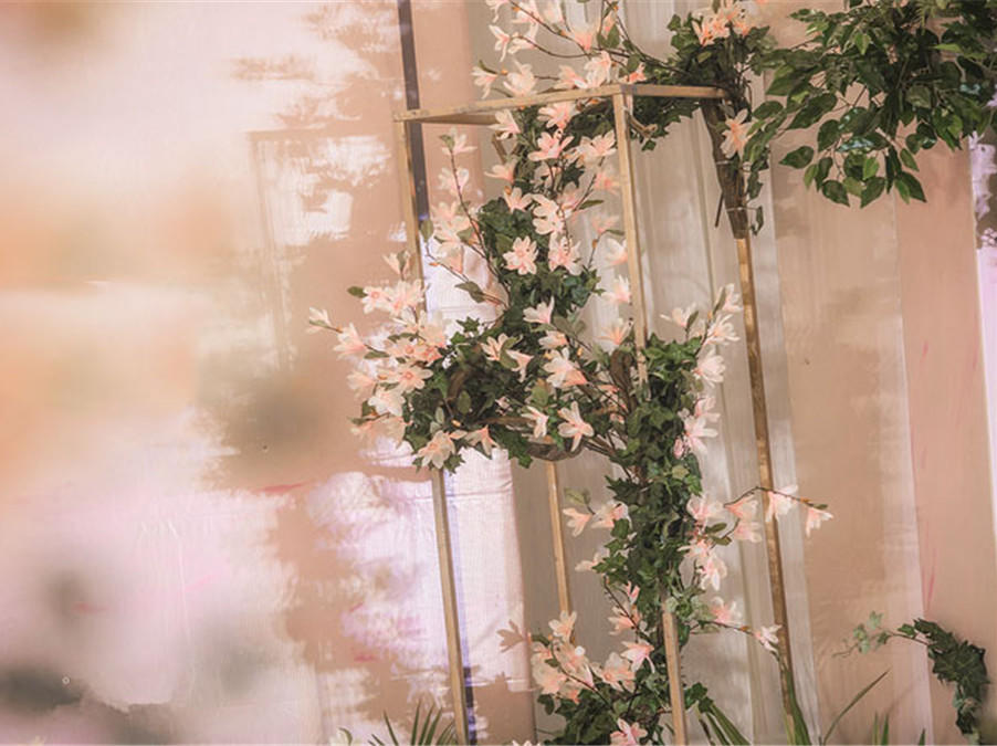 【同心缘婚礼】室内小清新  超值套餐