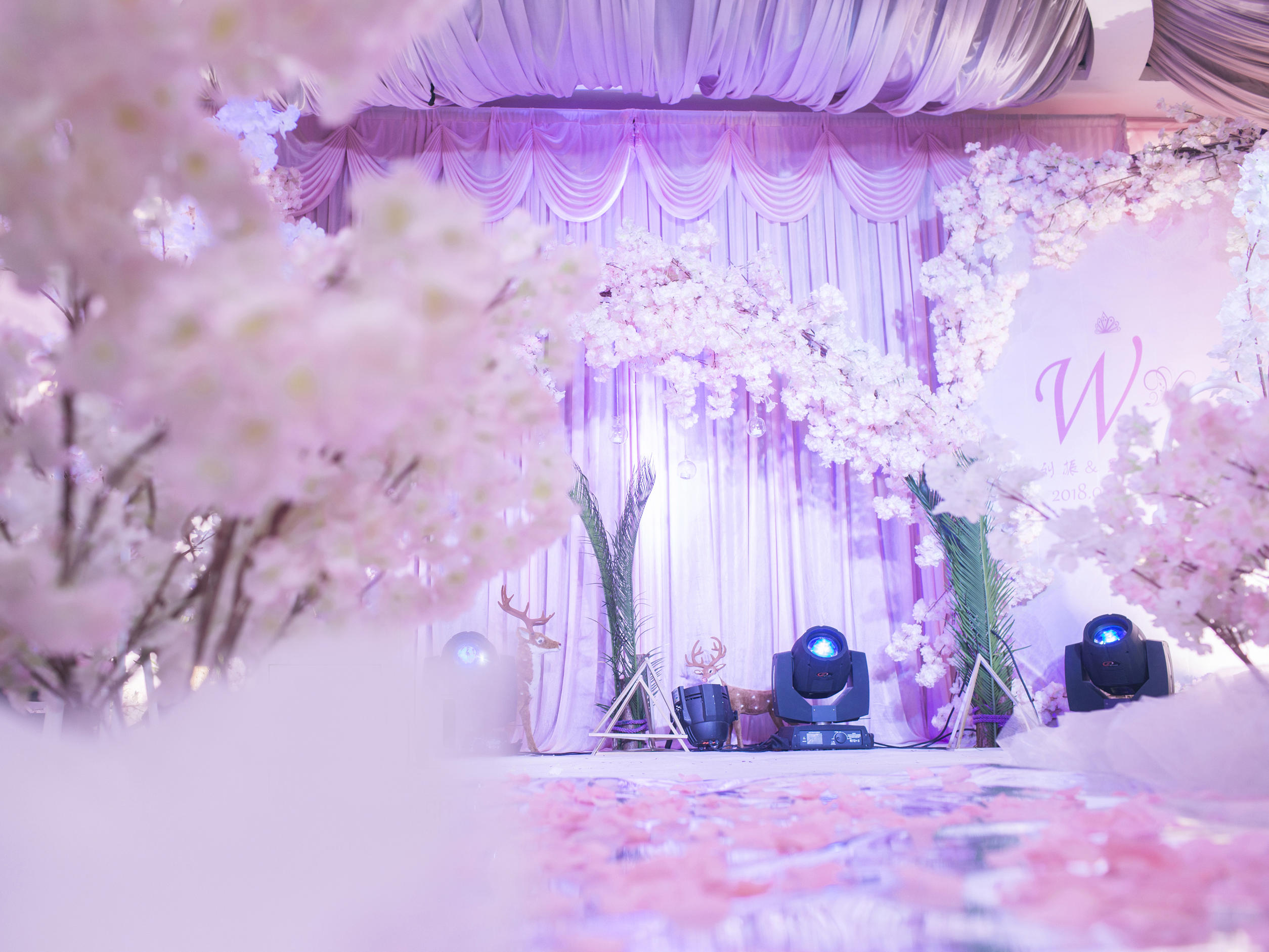 粉紫色烂漫樱花婚礼少女心