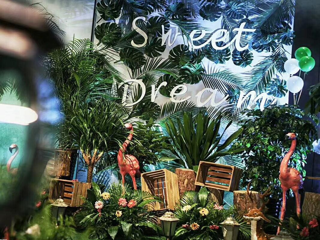 【绿野迷踪】低预算流行森系性价比超高