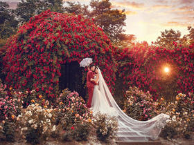 【蓝朵摄影】 一朵穿着婚纱的红玫瑰