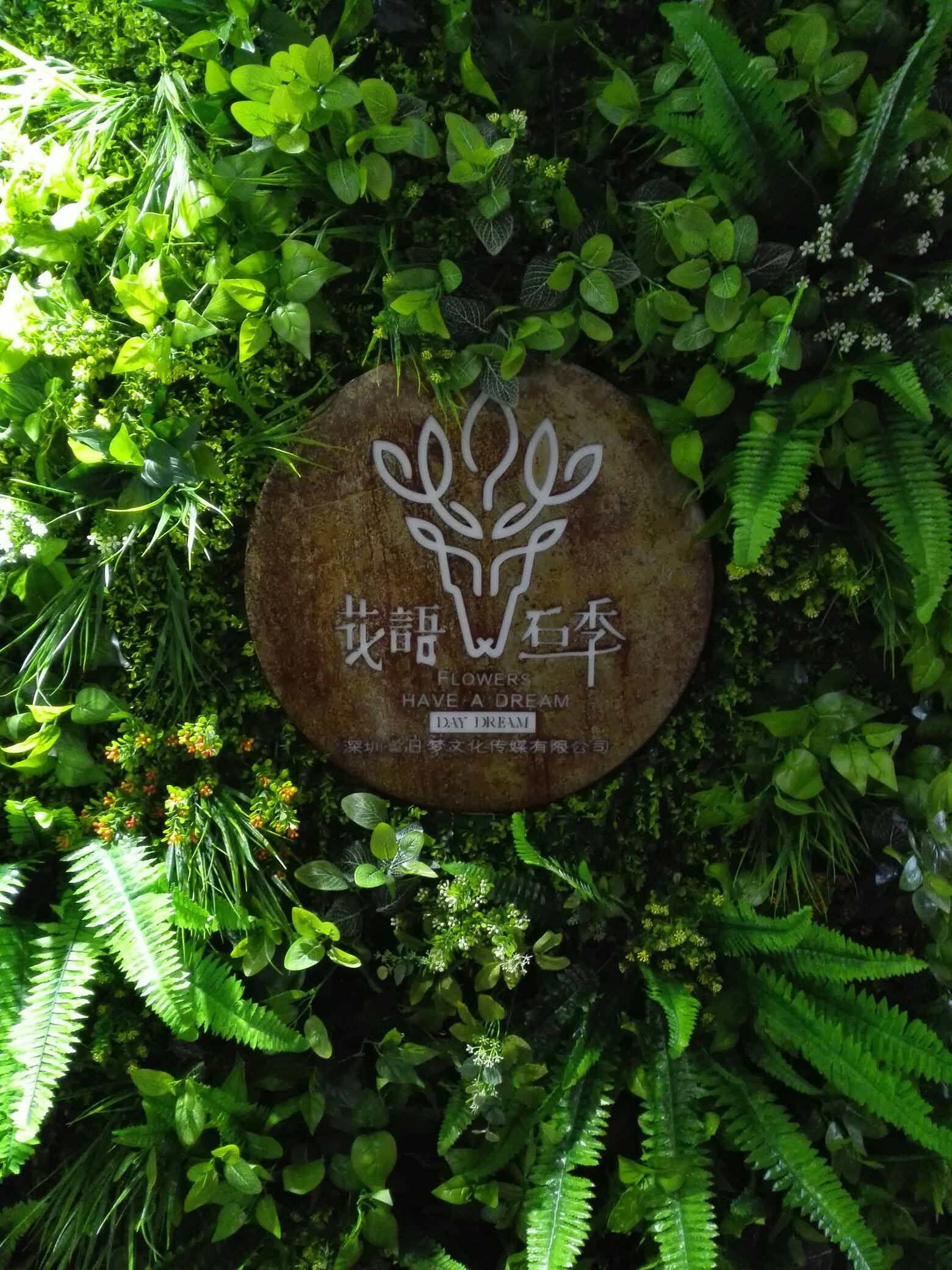 12月份的婚期，昨天去试的婚纱