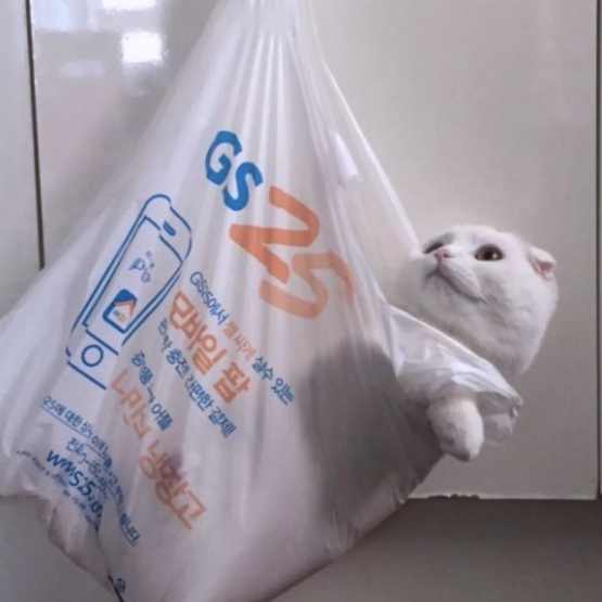 死胖子别吃啦你