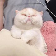 我这可怜的年轻人呀！