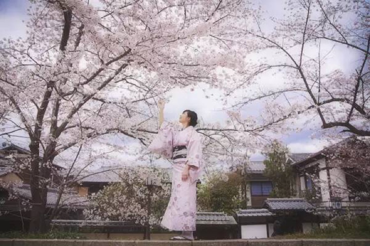 西安翼度航空