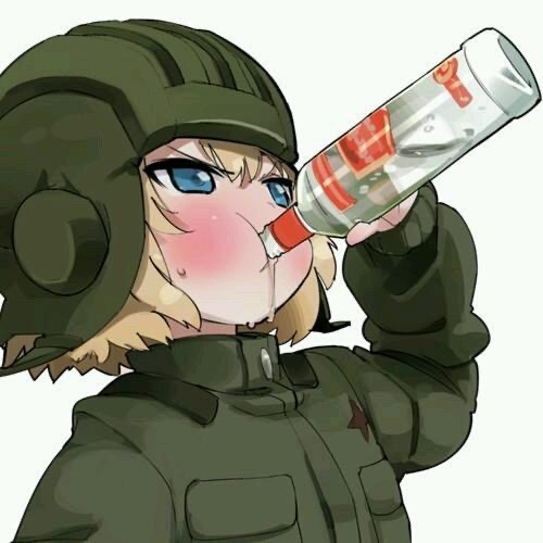 柴犬少年