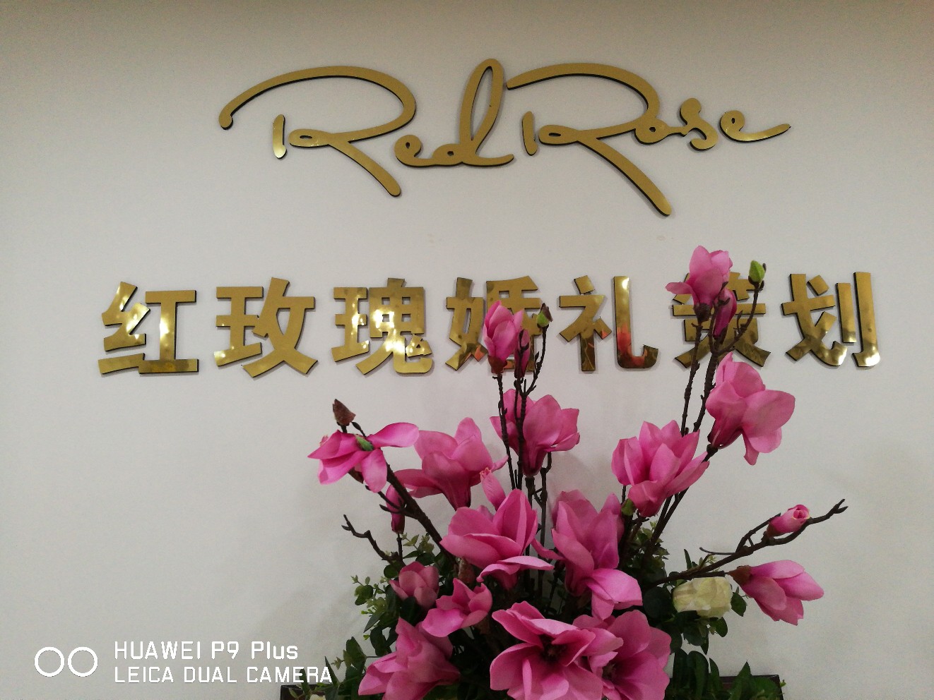 无锡红玫瑰婚礼