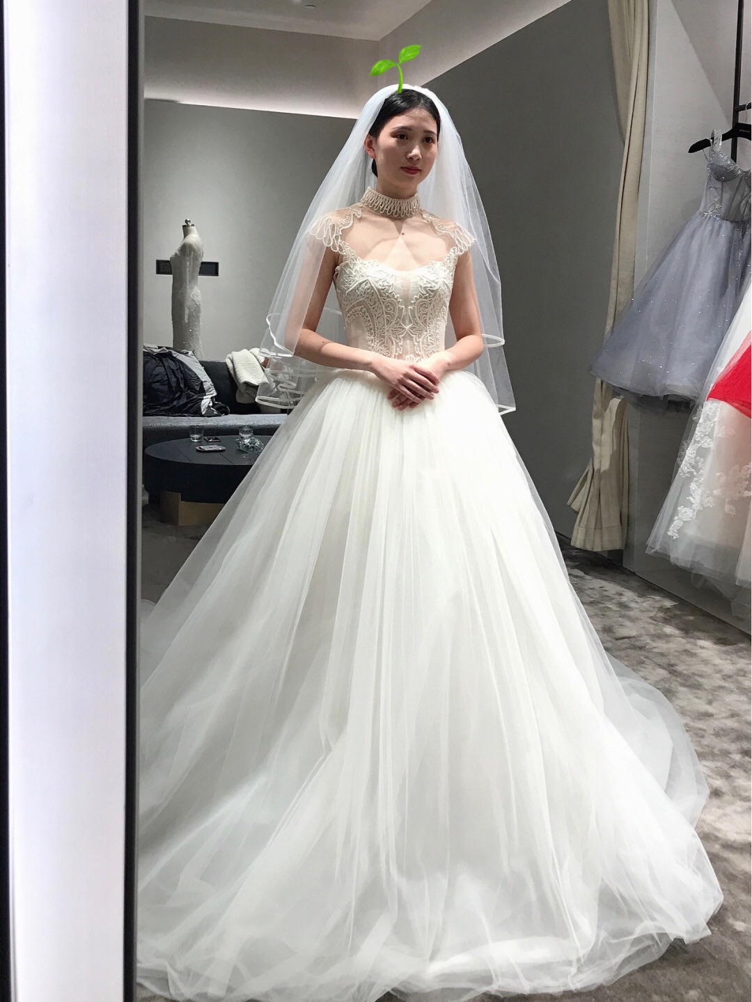 想问问大家，会不会试买不起的婚纱？