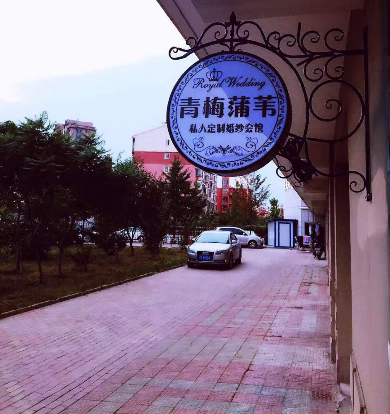 青梅蒲苇