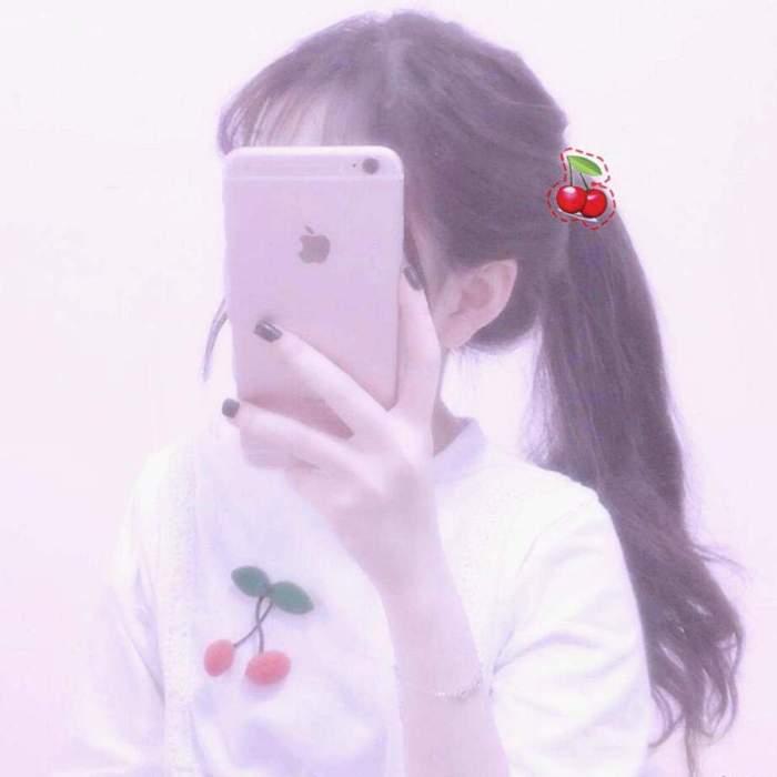 山有木兮木有枝