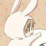 蕊宝