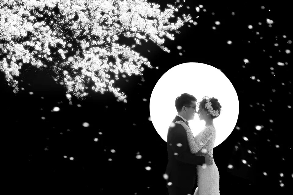 婚纱照～