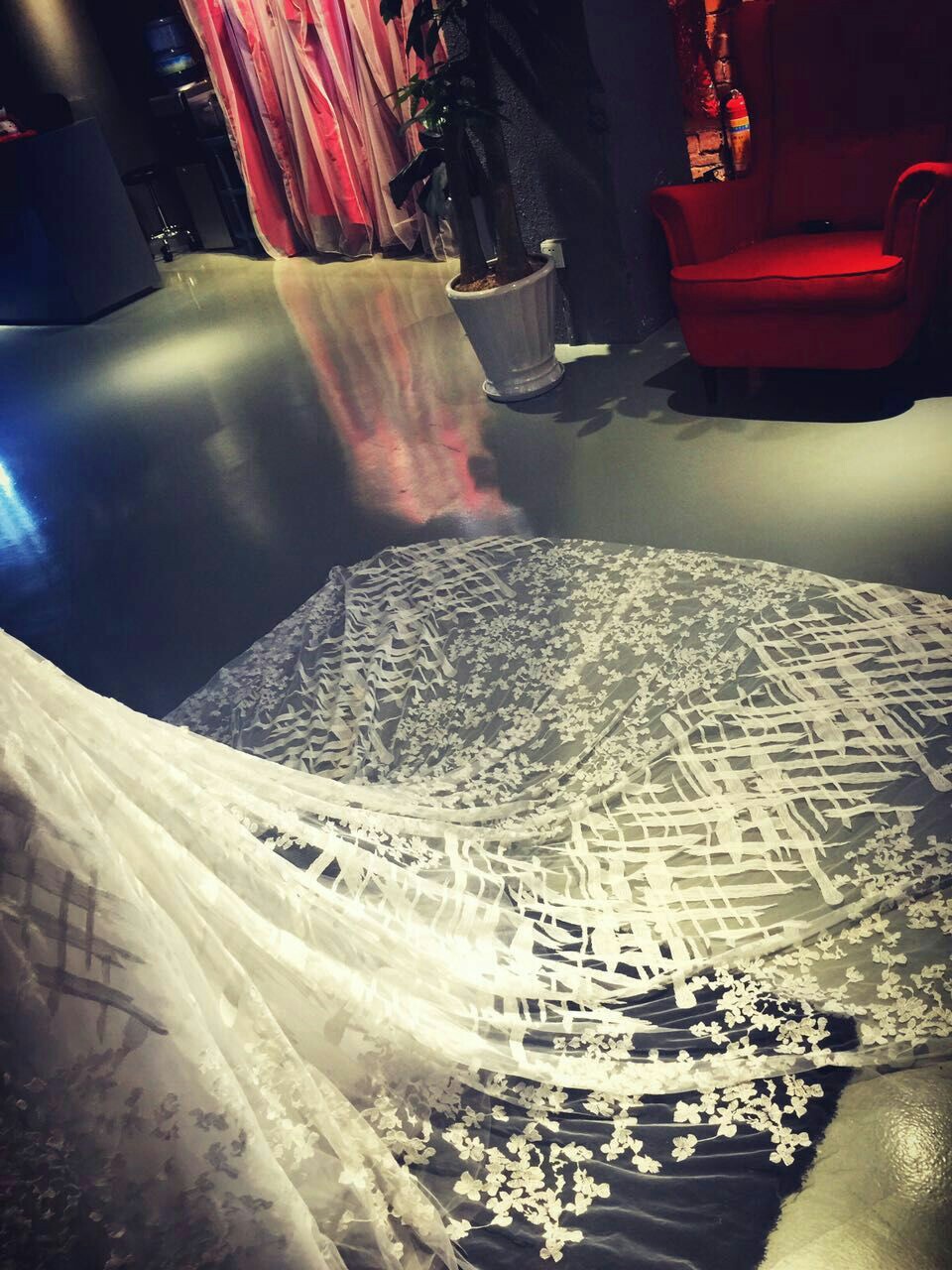 今天的试纱照片*罒▽罒*