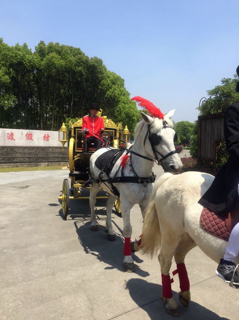 桐乡慢生活马车（马匹）租赁有限公司