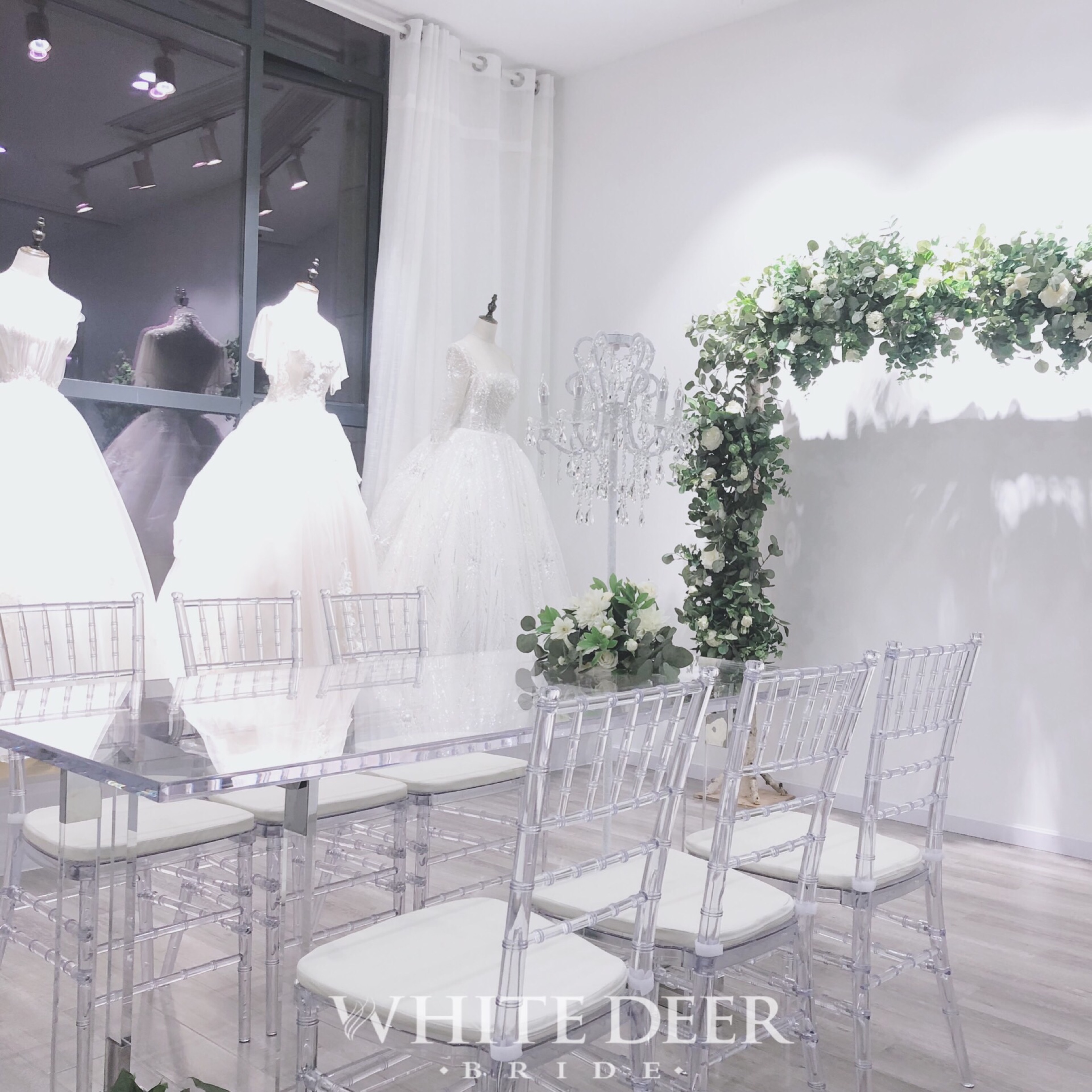 WHITE DEER白鹿婚纱礼服馆