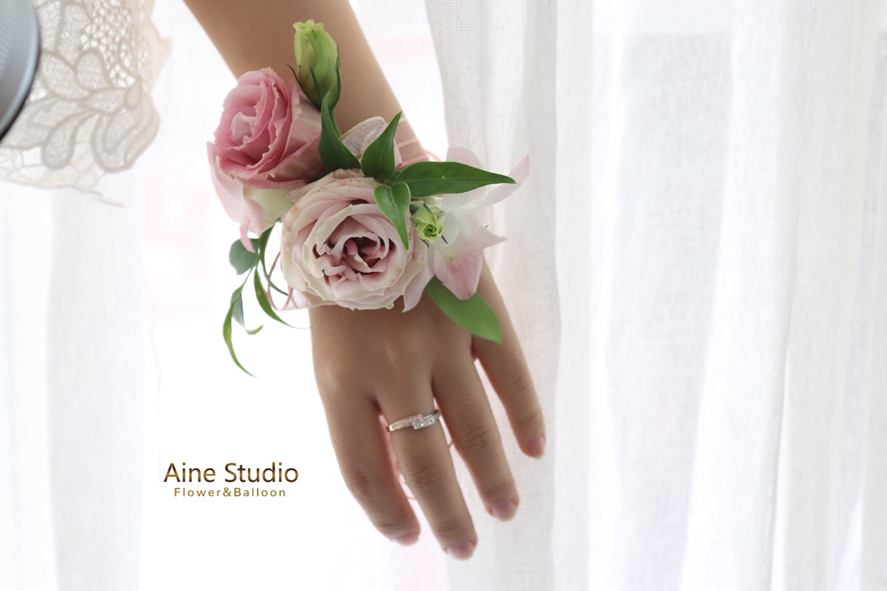 Aine Studio