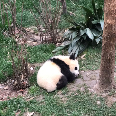 永不言弃