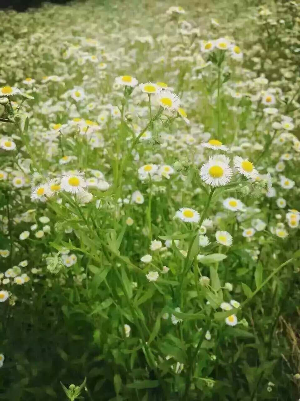 致美内衣无痕内衣_致美视觉婚纱摄影