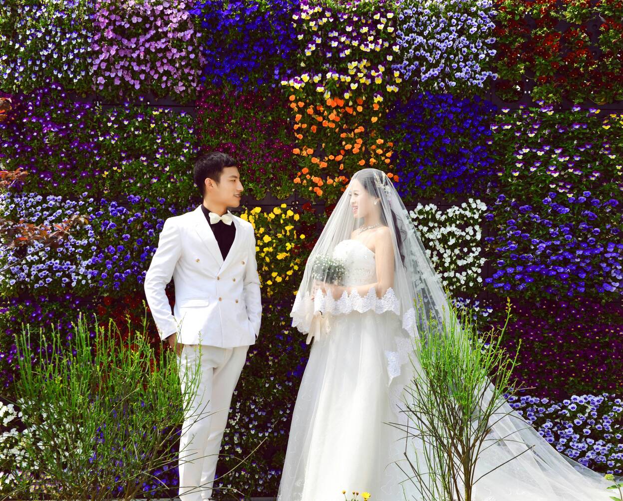 我的婚纱照