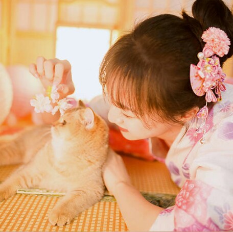 暗纹梅花