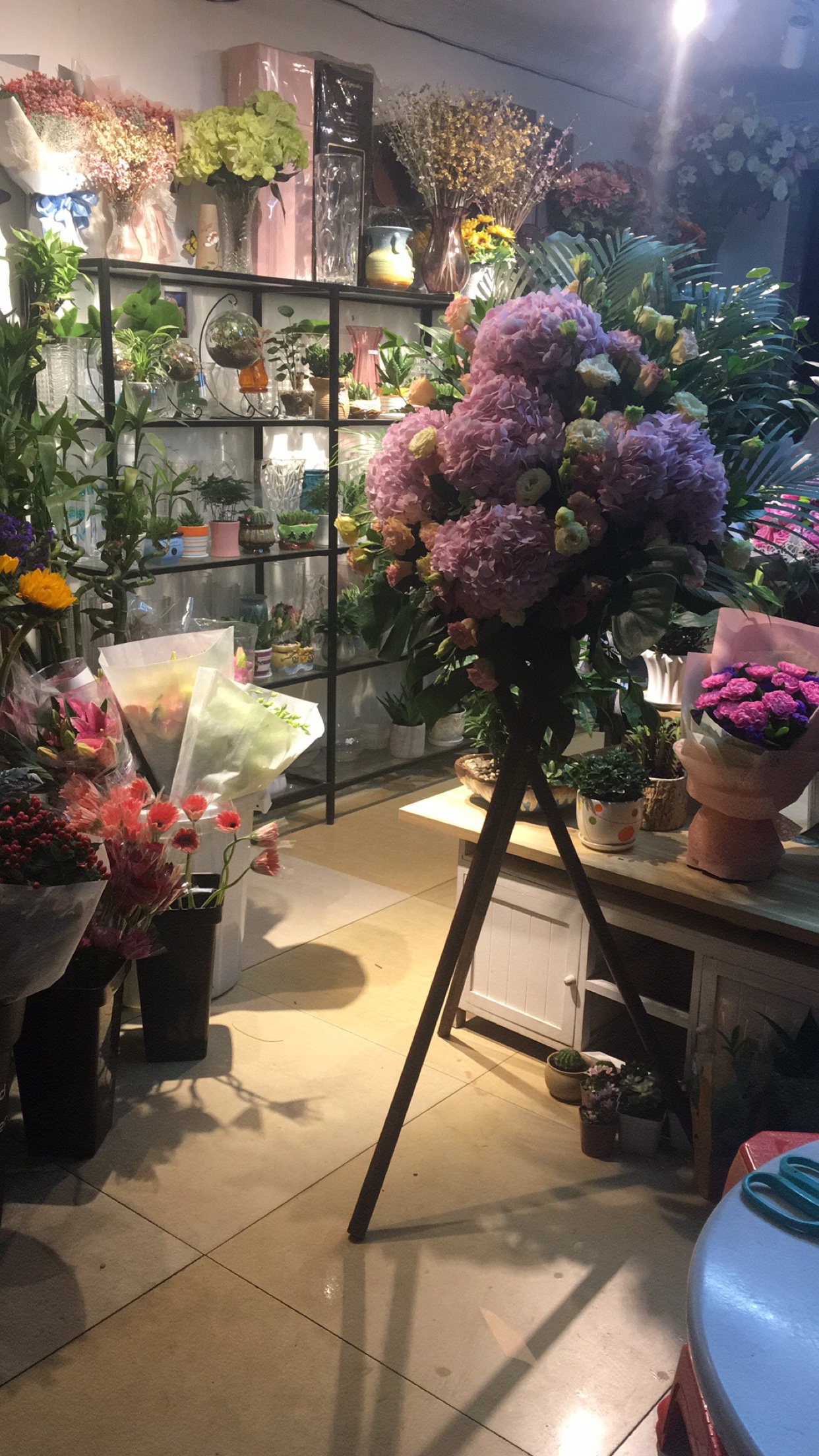 花遇时光