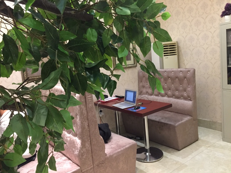 金柏鑫 婚礼策划