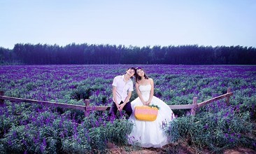 花草妹妹