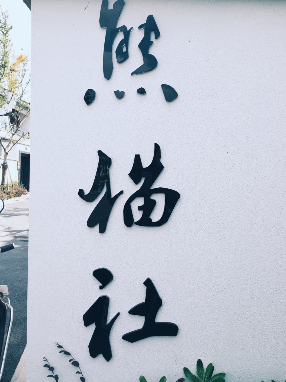 熊猫社摄影