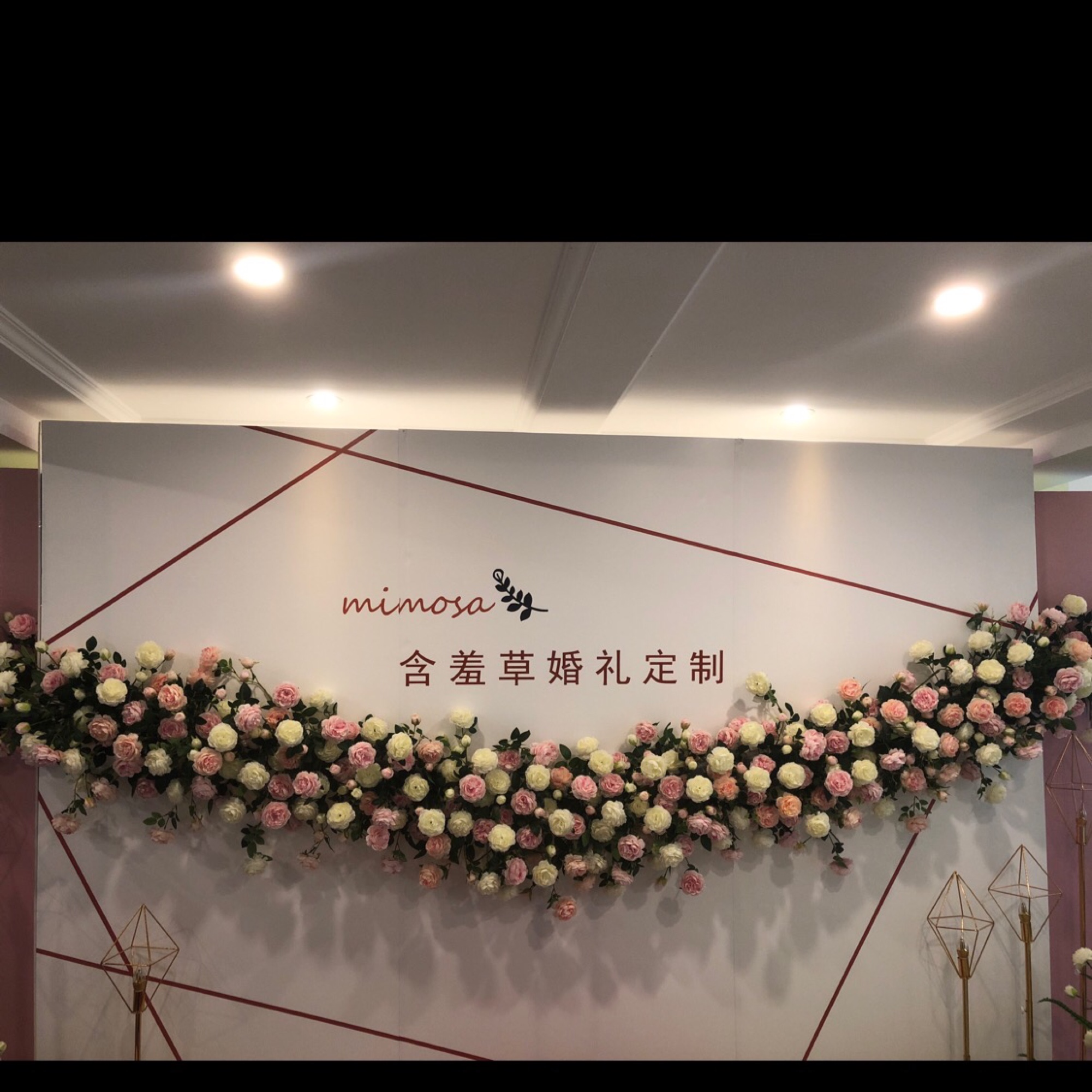 海南含羞草婚礼订制机构