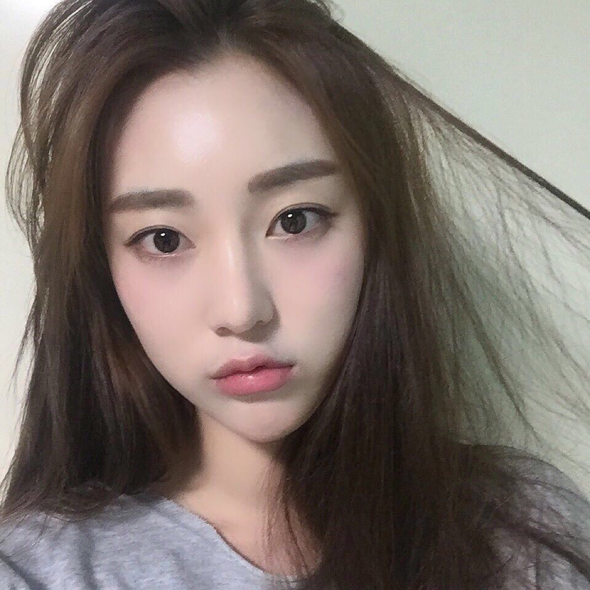 陶卜卜