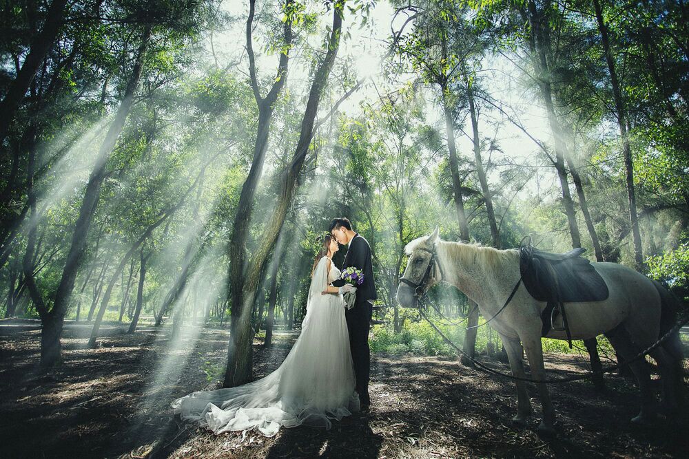 如梦如幻如仙镜般的美美婚纱照，让我久久不能自已。非常感动~~