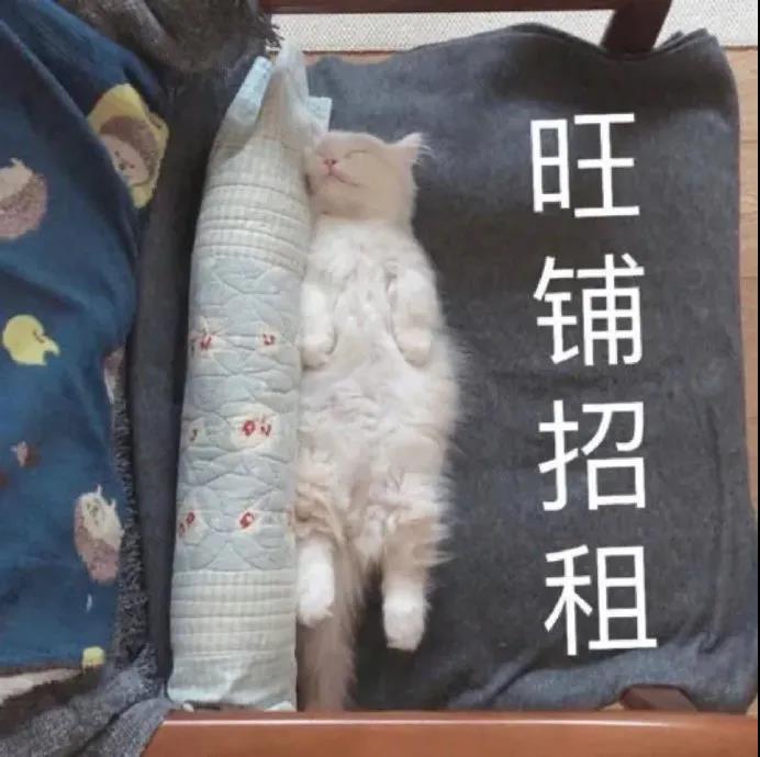 粉毛吞金兽